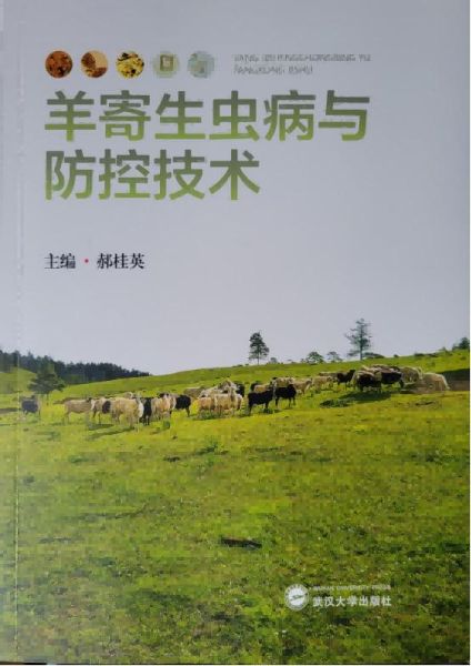 没ؼ