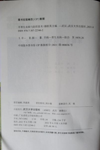 没ؼ2